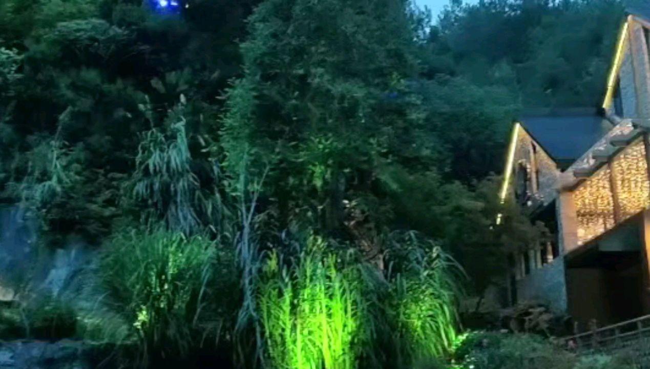 逗小猴开心系列211